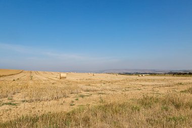 Bir Wight Kırsal Arazi Adası