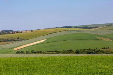 Güneşli bir bahar gününde Güney Tepeleri manzarası