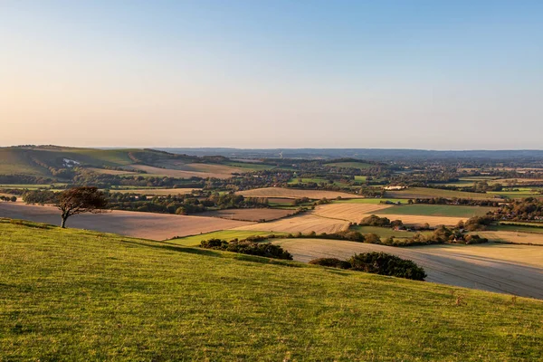 View Firle Beacon Fields South Downs Evening Light — Stock Photo, Image