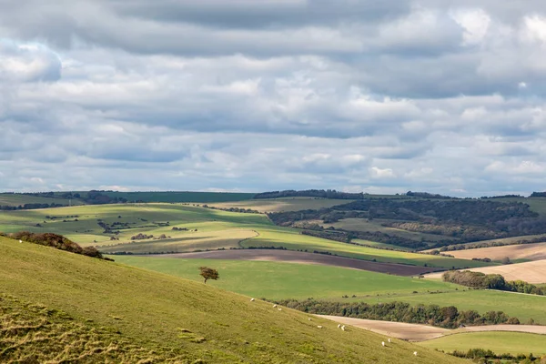 A view from the South Downs Way in Sussex on an autumn day