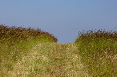 Sussex 'te üzerinde mavi gökyüzü olan bir yol.