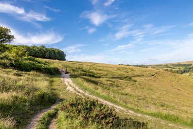 Brighton yakınlarındaki Devil 's Dyke yakınlarında bir kırsal güney manzarası.