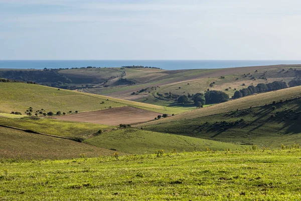 Kingston Ridge 'den, Brighton kıyısına doğru Güney Tepeleri' nden bir manzara.