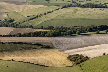 Eylül ayında Güney Tepeleri 'nin yüksek açılı tarım arazisi