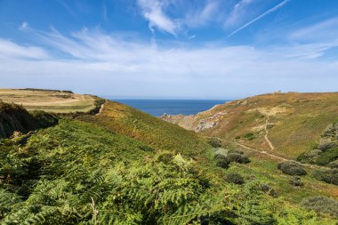 Arkasında okyanus ve mavi gökyüzü olan Cornish kırsalının manzarası.
