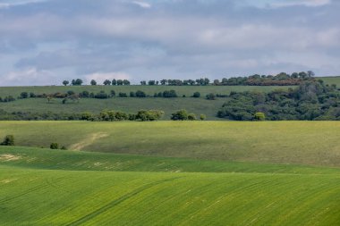 Ditchling Beacon 'ın yanında, üzerinde mavi bir gökyüzü olan huzurlu bir Sussex manzarası.