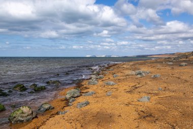 Güneşli bir yaz sabahında Wight Adası 'ndaki Chine Balinası' nın yanındaki sahil.