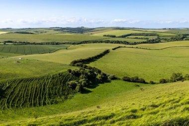 Güney Downs 'da Kingston Ridge' den Lewes yakınlarındaki bir çiftlik arazisi manzarası.