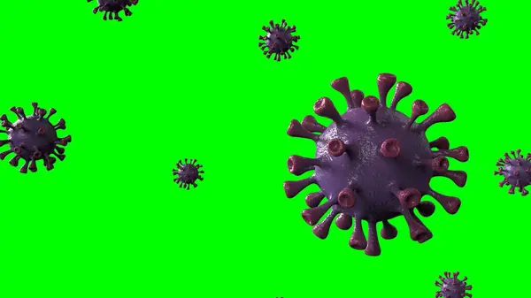 Corona Virus Violet Kierto Pyörii Keskellä Eristetty Green Screen Mikrobiologia — kuvapankkivalokuva