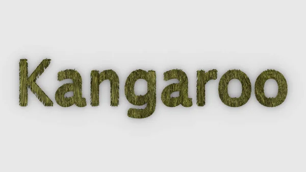 Kangoeroe Woord Geel Witte Achtergrond Weergave Van Harige Brieven Australië — Stockfoto