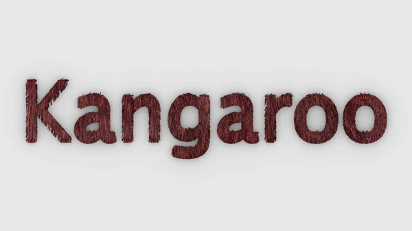 Kangourou Mot Rouge Sur Fond Blanc Rendu Des Lettres Poilues — Photo