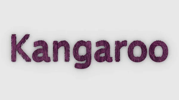 Kangaroo Word Pink White Background Render Furry Letters Australia Animal — Stock Photo, Image