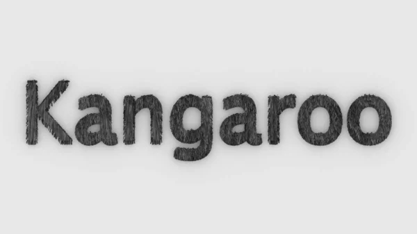 Кенгуру Слово Сіре Білому Тлі Віддавання Пухнастих Листів Австралійські Тварини — стокове фото