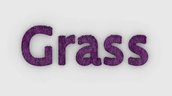 Gras Woord Paars Witte Achtergrond Fris Gras Letters Geïsoleerde Illustratie — Stockfoto