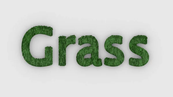 Gras Wort Grün Weiß Hintergrund Frisch Buchstaben Isoliert Illustration Rasen — Stockfoto