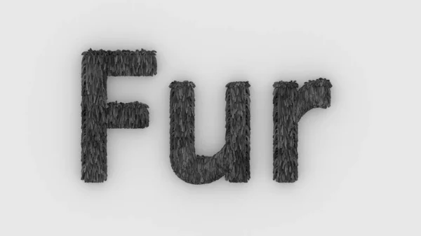 Fur Gray Word Isolated White Background Realistic Render Furry Letters — Stock Photo, Image