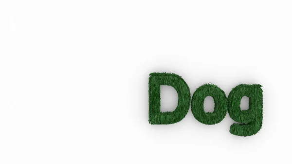 Dog - 3d word green on white background. render of furry letters. Dog pets fur. Pet shop, pet house, pet care emblem logo design template. Veterinary clinics and animal shelters homeless illustration