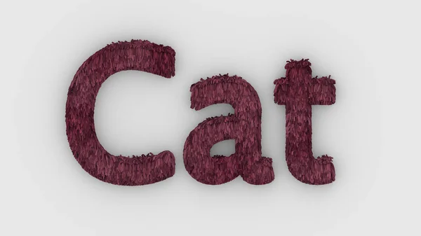 Cat Слово Розовое Белом Фоне Визуализация Пушистых Букв Волосы Мех — стоковое фото