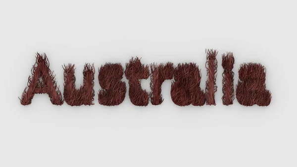 オーストラリア 火の上の赤い単語3D 祈りオーストラリアのために 森林火災や野生動物カンガルー コアラ 鳥のシルエットとタイポグラフィのデザイン イラストレンダリング 大陸災害危険生態学 — ストック写真
