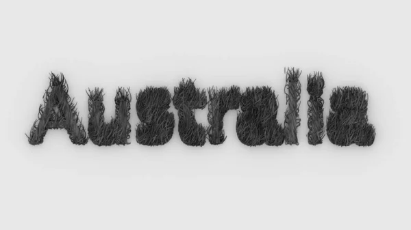 オーストラリア 火の上の灰色の単語3D 祈りオーストラリアのために 森林火災や野生動物カンガルー コアラのシルエットとタイポグラフィのデザイン イラストレンダリング 大陸災害危険生態学 — ストック写真