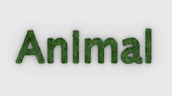 Animal Word Green White Background Render Furry Letters Hair Pets — Stock Photo, Image