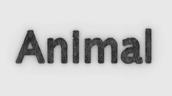 Animal Word Gray White Background Render Furry Letters Hair Pets — Stock Photo, Image