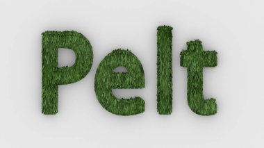 Pelt - yeşil kelime 3D beyaz arka planda izole edilmiş kürklü harflerin gerçekçi canlandırması. Doğal kürk. Kürk postu. Hayvan kürkü. Köpek, kedi, ayı, kaplan, kurt, hayvan, hayvan. hayvanlar