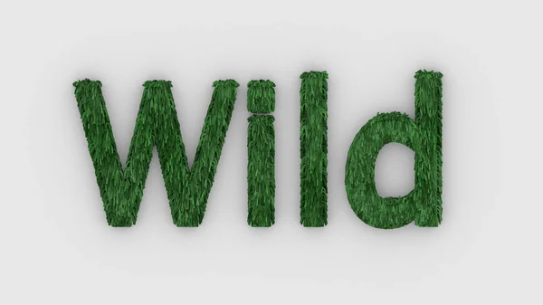 Άγρια Λέξη Πράσινο Λευκό Φόντο Δίνουν Τριχωτά Γράμματα Μαλλιά Γουάιλντς — Φωτογραφία Αρχείου