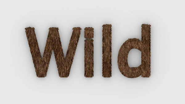 바탕에는 와일드 단어의 갈색이 털북숭이 편지를 머리카락 야생의 엠블럼 디자인 — 스톡 사진