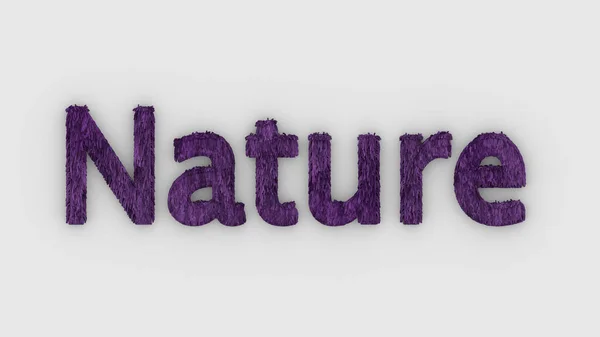 Natureza Palavra Roxo Fundo Branco Letras Grama Fresca Ilustração Isolada — Fotografia de Stock