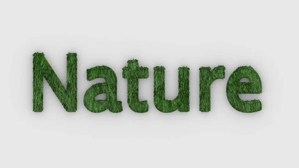 Nature Word Green White Background Fresh Grass Letters Isolated Illustration — Stock Photo, Image