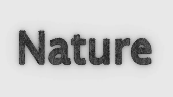 Nature Word Gray White Background Fresh Grass Letters Isolated Illustration — Stock Photo, Image