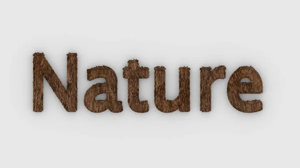Nature Wort Braun Auf Weißem Hintergrund Frische Grass Briefe Isolierte — Stockfoto