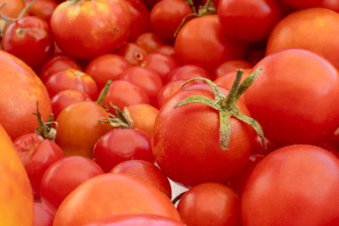Doğanın arka planında küçük ve büyük kırmızı kiraz domatesleri. İtalyan ürünleri makarna sosu.