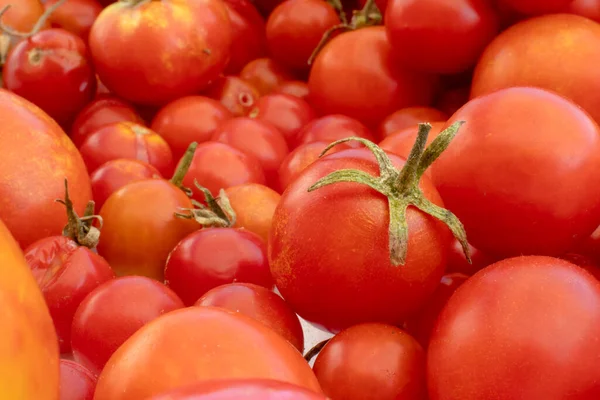 Doğanın arka planında küçük ve büyük kırmızı kiraz domatesleri. İtalyan ürünleri makarna sosu.