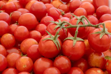 Doğanın arka planında küçük ve büyük kırmızı kiraz domatesleri. İtalyan ürünleri makarna sosu.