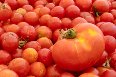 Doğanın arka planında küçük ve büyük kırmızı kiraz domatesleri. İtalyan ürünleri makarna sosu.