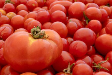 Doğanın arka planında küçük ve büyük kırmızı kiraz domatesleri. İtalyan ürünleri makarna sosu.