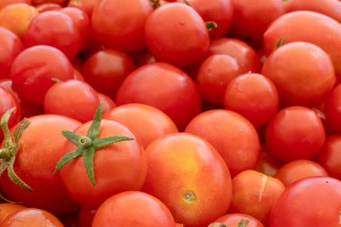 Doğanın arka planında küçük ve büyük kırmızı kiraz domatesleri. İtalyan ürünleri makarna sosu.