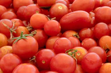 Doğanın arka planında küçük ve büyük kırmızı kiraz domatesleri. İtalyan ürünleri makarna sosu.