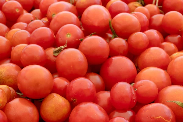 Tomates Rojos Cereza Pequeños Grandes Fondo Naturaleza Productos Italianos Para —  Fotos de Stock