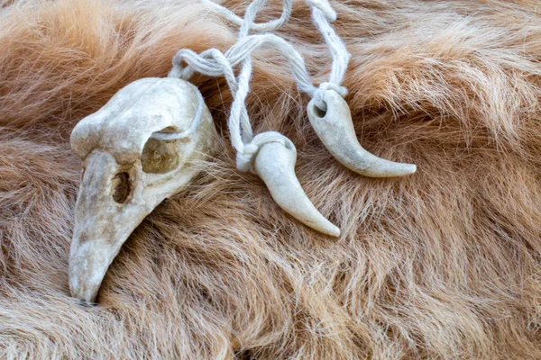 Vogelschedel Een Vacht Ketting Voor Rituelen Van Een Druïde Goochelaar — Stockfoto