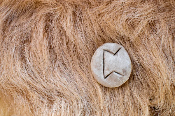 Perth Nordic stone rune on fur. Letter Peoro of the Viking alphabet.