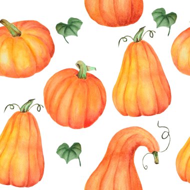 Kusursuz el çizimi suluboya deseni. Turuncu, sarı, yeşil renkler. Beyaz arkaplanda kabaklar