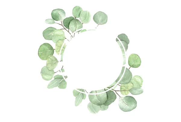 Cadre Rond Eucalyptus Aquarelle Illustration Dessinée Main Pour Votre Conception — Photo
