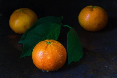 Üç turuncu kalenin karanlık ruh hali fotoğrafçılığı