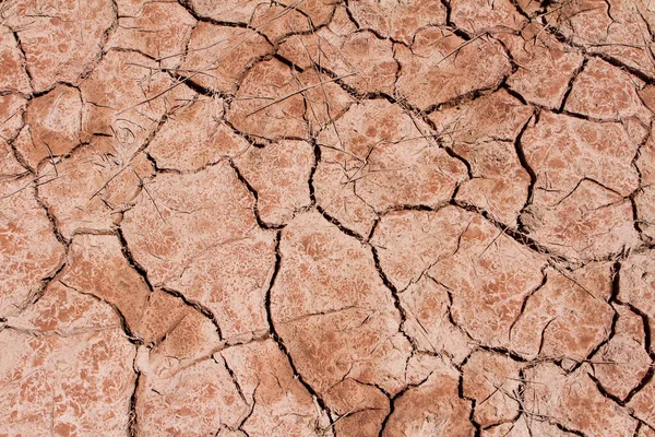 Background Desert Natural Dry Soil Cracks Dehydrated — Stock Photo, Image