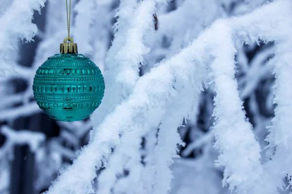 Minge Albastră Crăciun Zăpadă — Fotografie, imagine de stoc