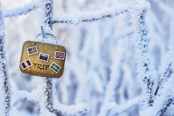 Maleta Miniatura Con Banderas Fondo Árboles Cubiertos Nieve — Foto de Stock