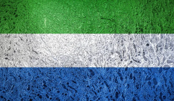 Drapelul Sierra Leone Africa — Fotografie, imagine de stoc